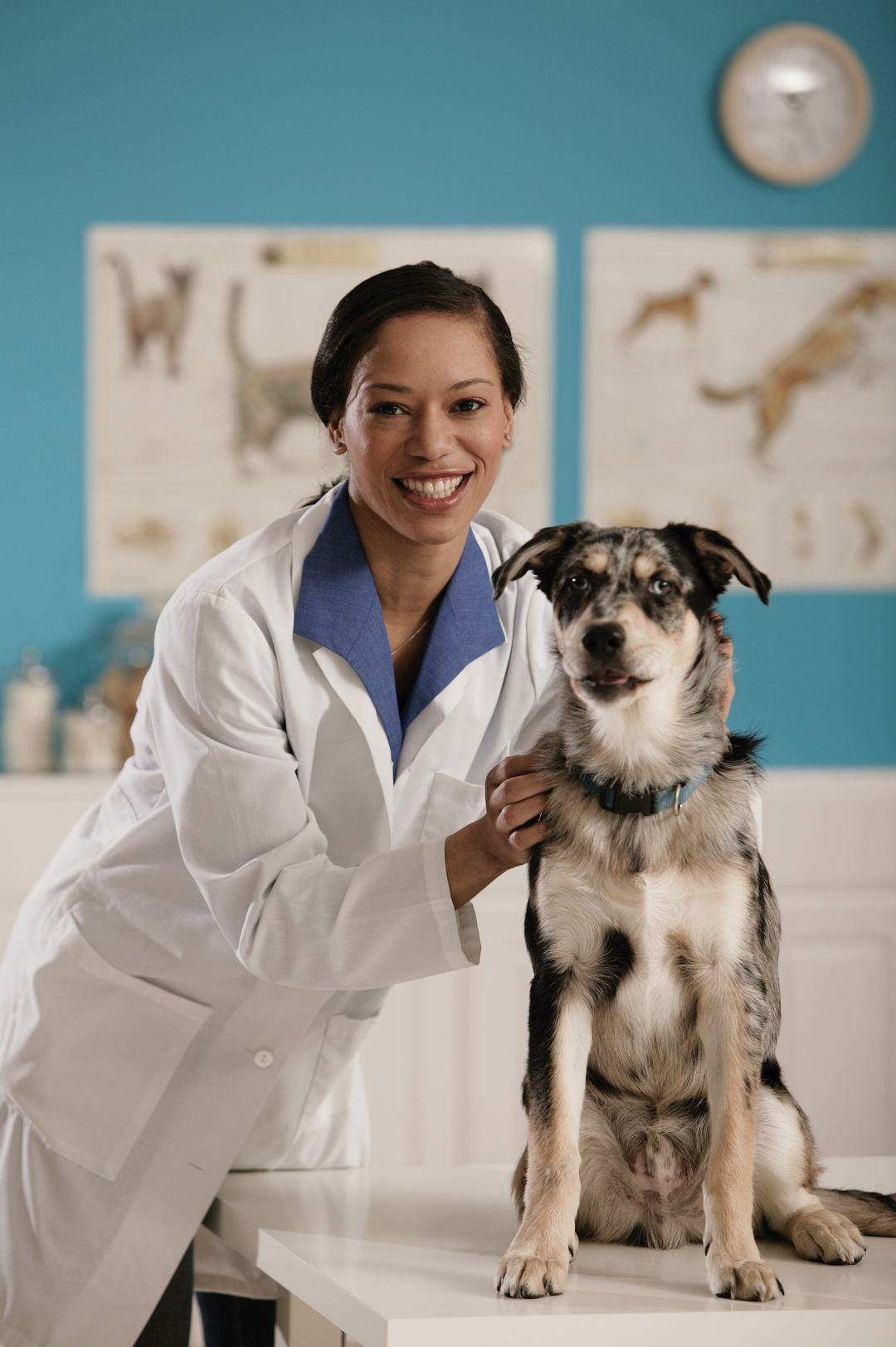 Vet with dog